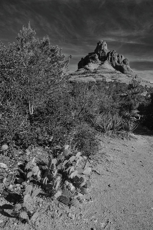Bell Rock Black and White, Sedona Photograph by Chance Kafka