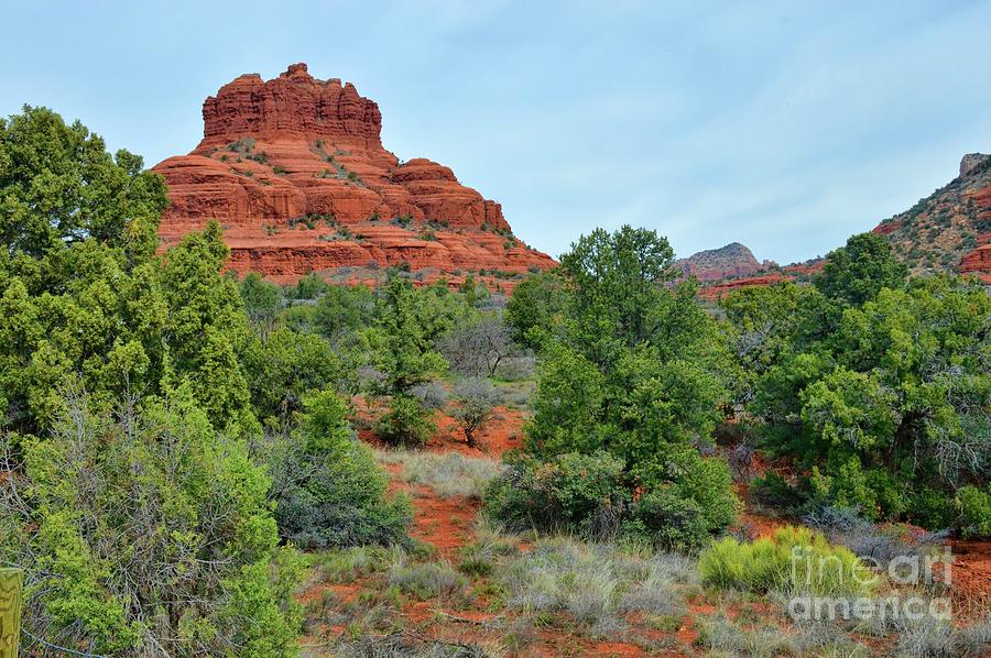 Bell Rock Photograph by Diana Mary Sharpton