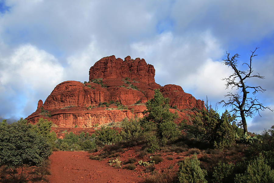 Bell Rock Photograph by Donna Kennedy