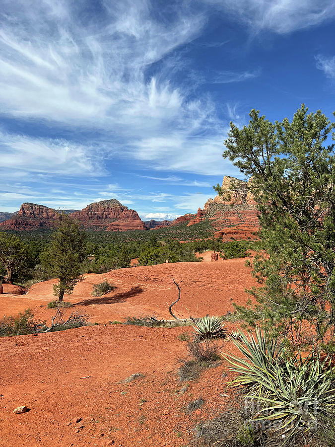 Bell Rock Trail Photograph by Karen Adams - Fine Art America