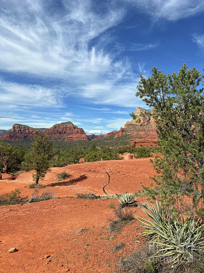 Bell Rock View Photograph by Karen Adams - Pixels