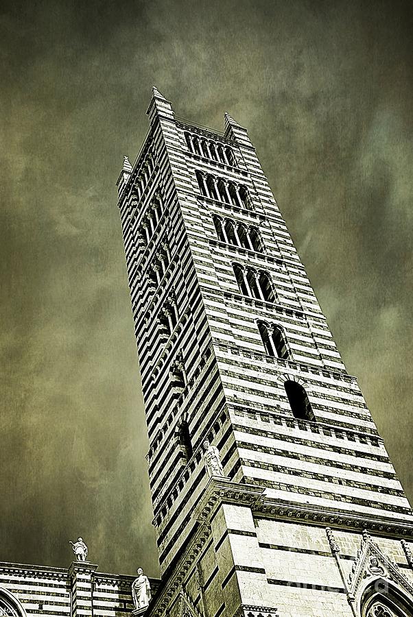 Bell Tower of Siena Cathedral Black and White Photograph by Ramona Matei