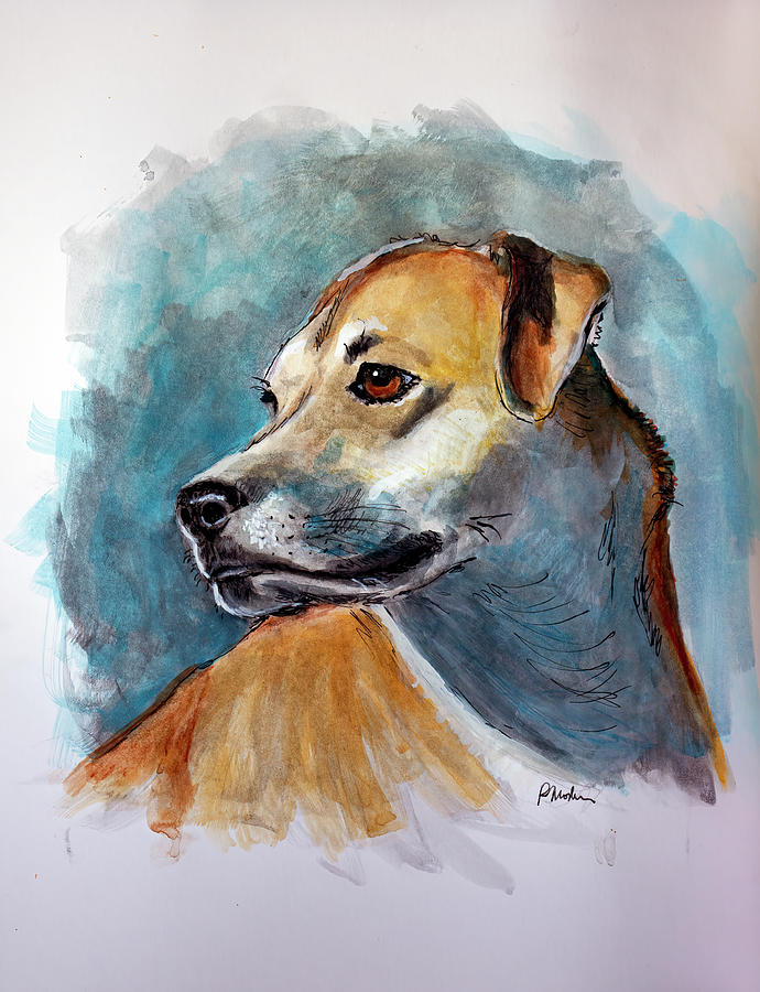 Bella Photograph by Rick Mosher Bella Photograph by Rick Mosher
