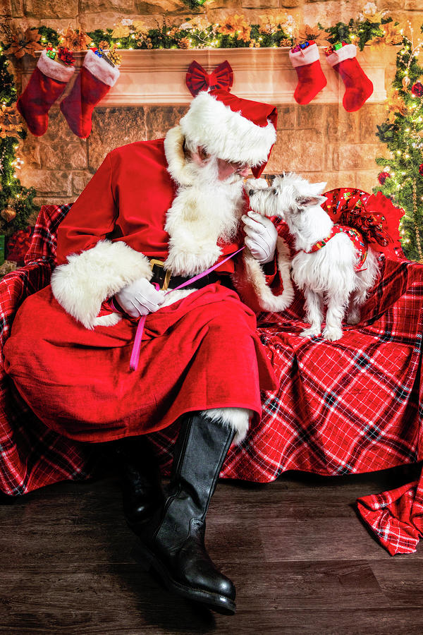 Bella Rose with Santa 1 Photograph by Christopher Holmes