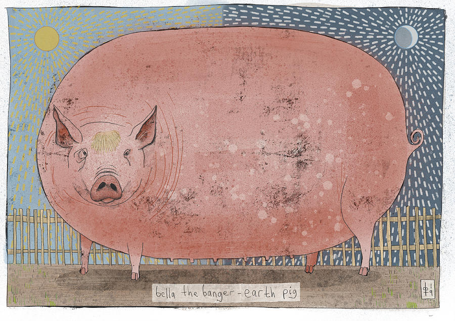 Pig Digital Art - Bella the Banger by David Taylor