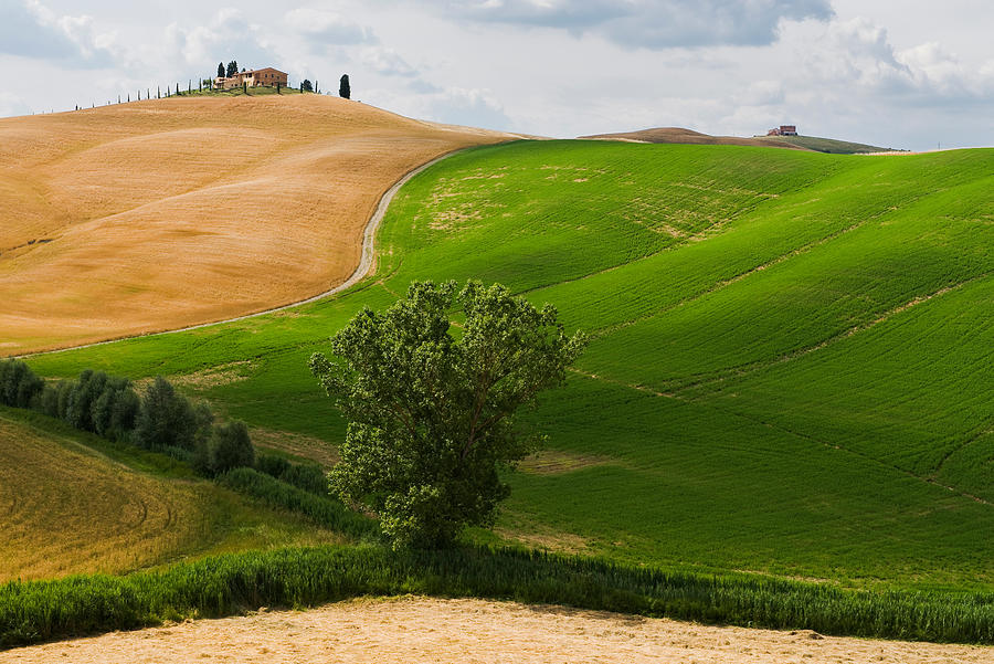 Bella Toscana Photograph by Daniel Bosma