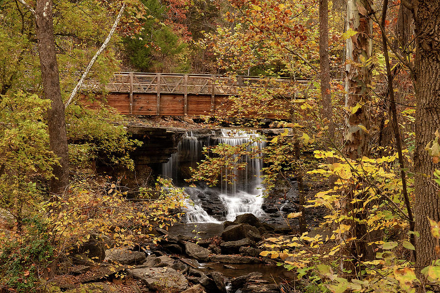 Bella Vista Falls in Autumn #1 Photograph by Mindy Musick King