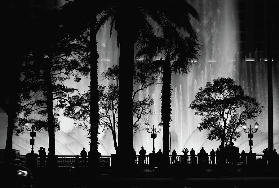 Bellagio Fountain Show Silhouettes on the Las Vegas Strip Black and White Photograph by Shawn OBrien
