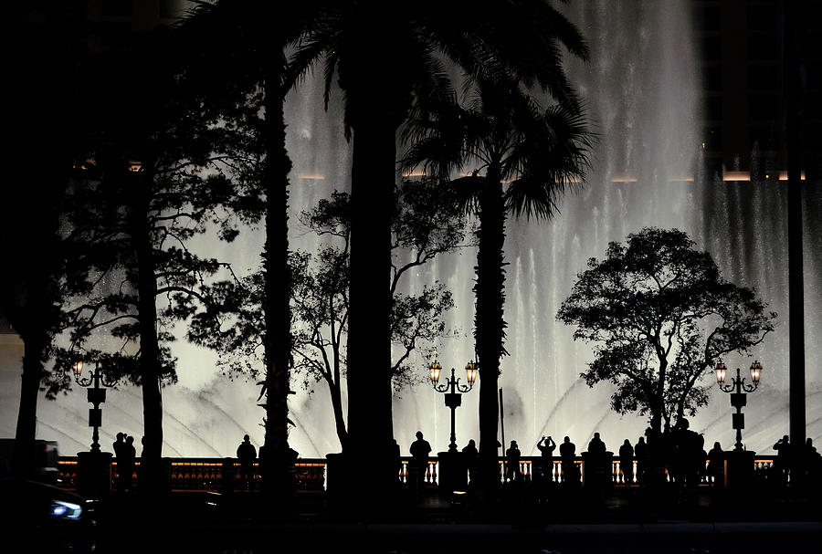 Bellagio Fountain Show Silhouettes on the Las Vegas Strip Photograph by Shawn OBrien