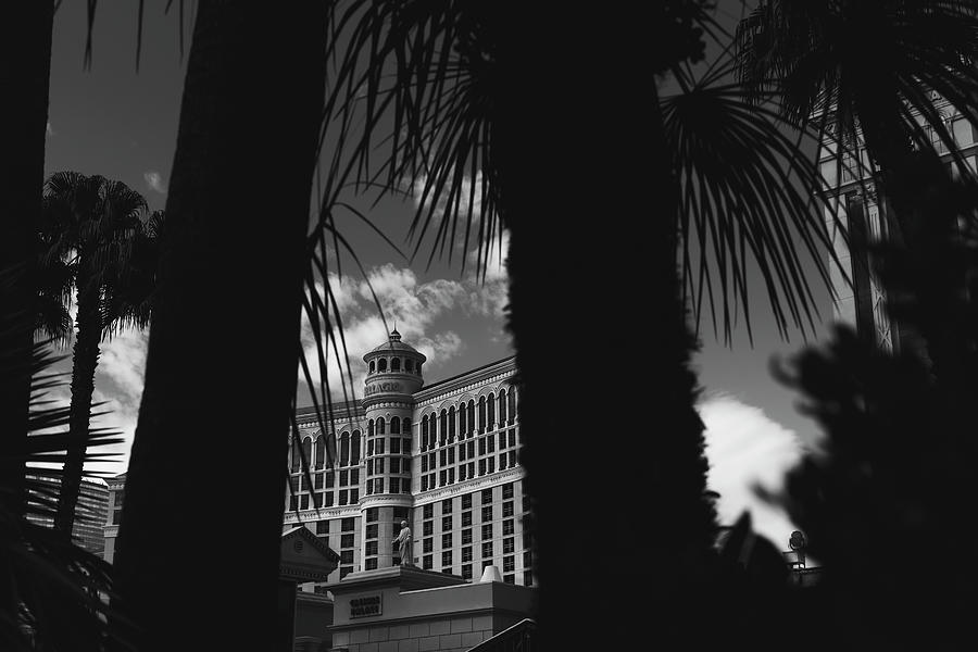 Bellagio Through The Palm Trees Photograph by Andrew Pacheco
