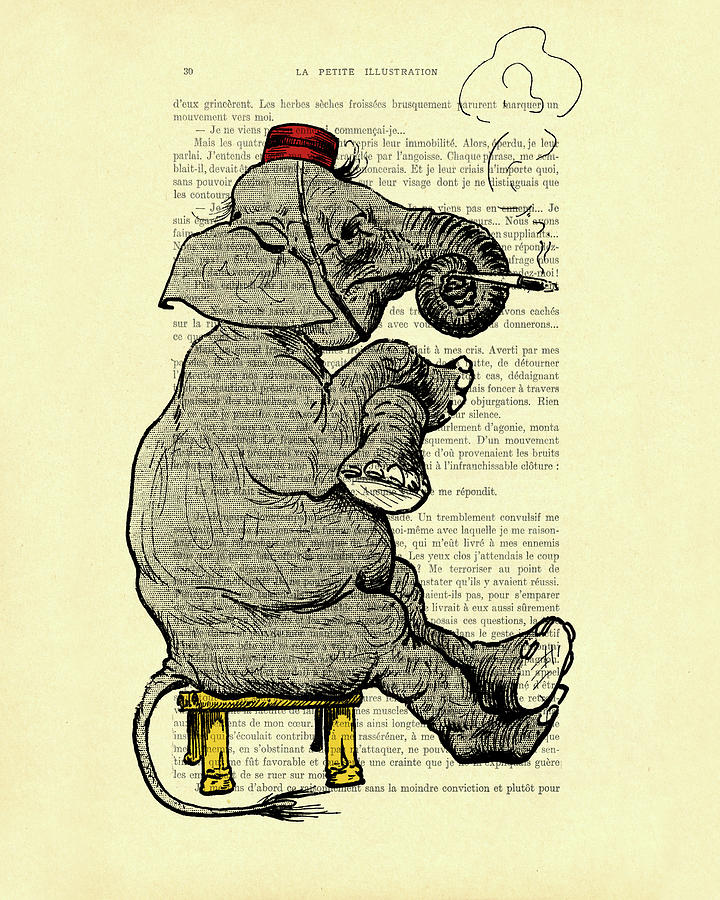 Black And White Digital Art - Bellboy elephant by Madame Memento