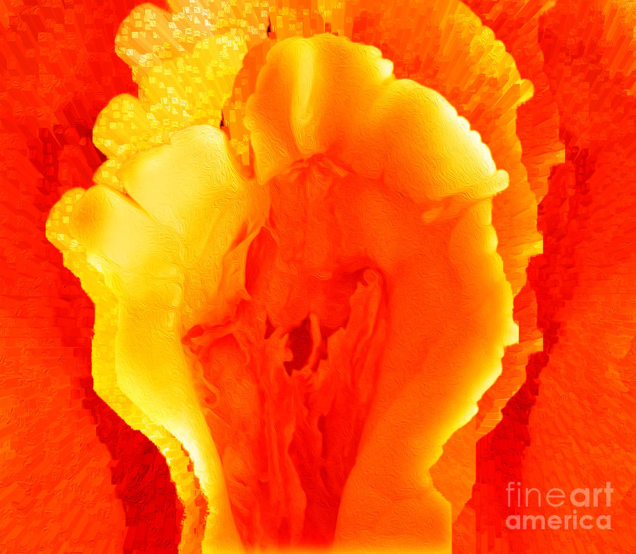 Belle Fleur Rising Sun 4 Digital Art by Aldane Wynter
