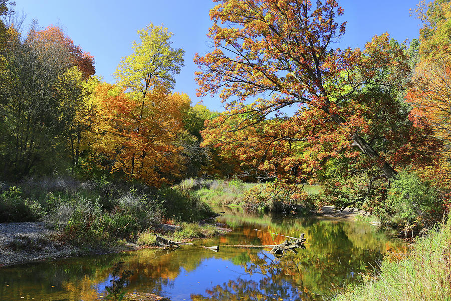 Belle River 2 Columbus County MI Park 101120 Photograph by Mary Bedy ...