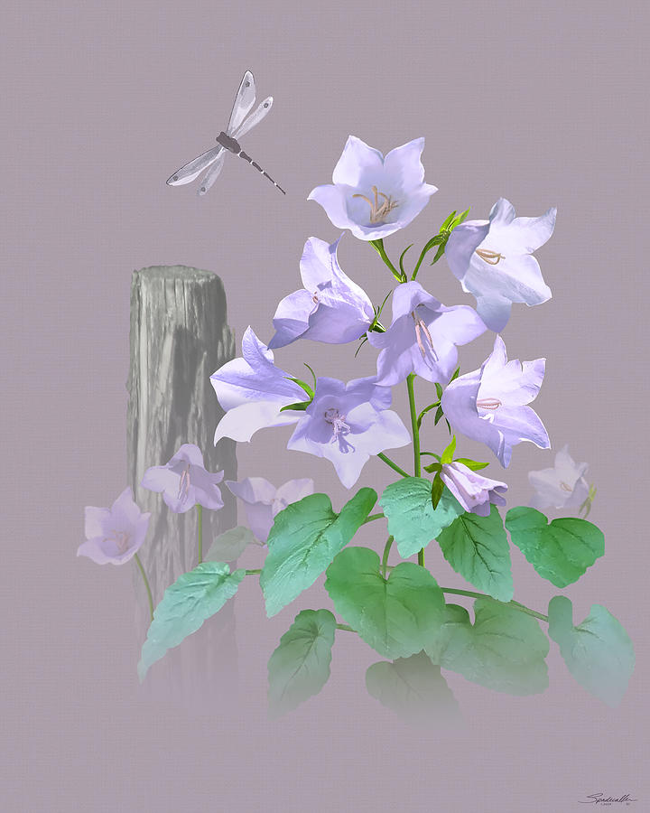 Bellflowers by Fence Post Digital Art by M Spadecaller