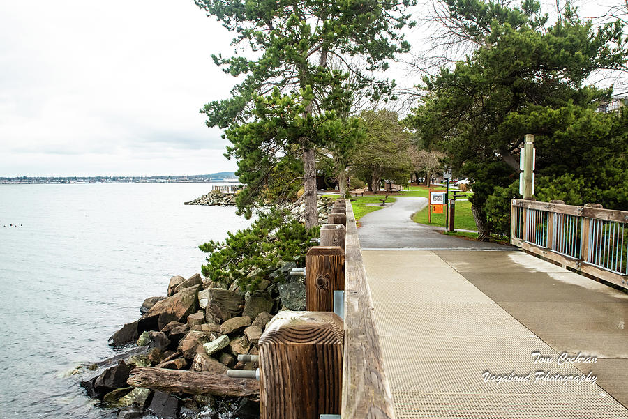Bellingham Bay and Boulevard Park Trail Photograph by Tom Cochran