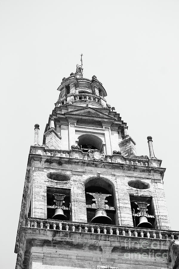 Belltower Cordoba Black and White Vertical Photograph by Eddie Barron