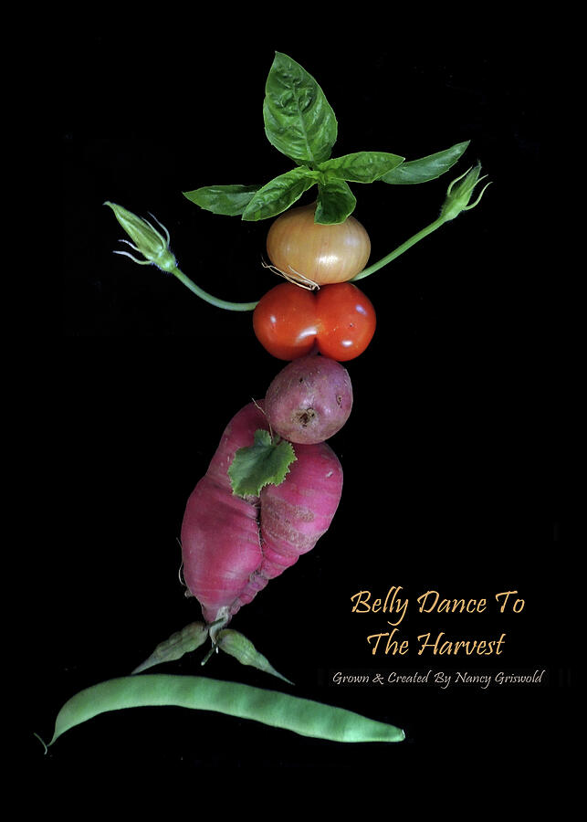 Belly Dance To The Harvest Vegetable Art Photograph by Nancy Griswold