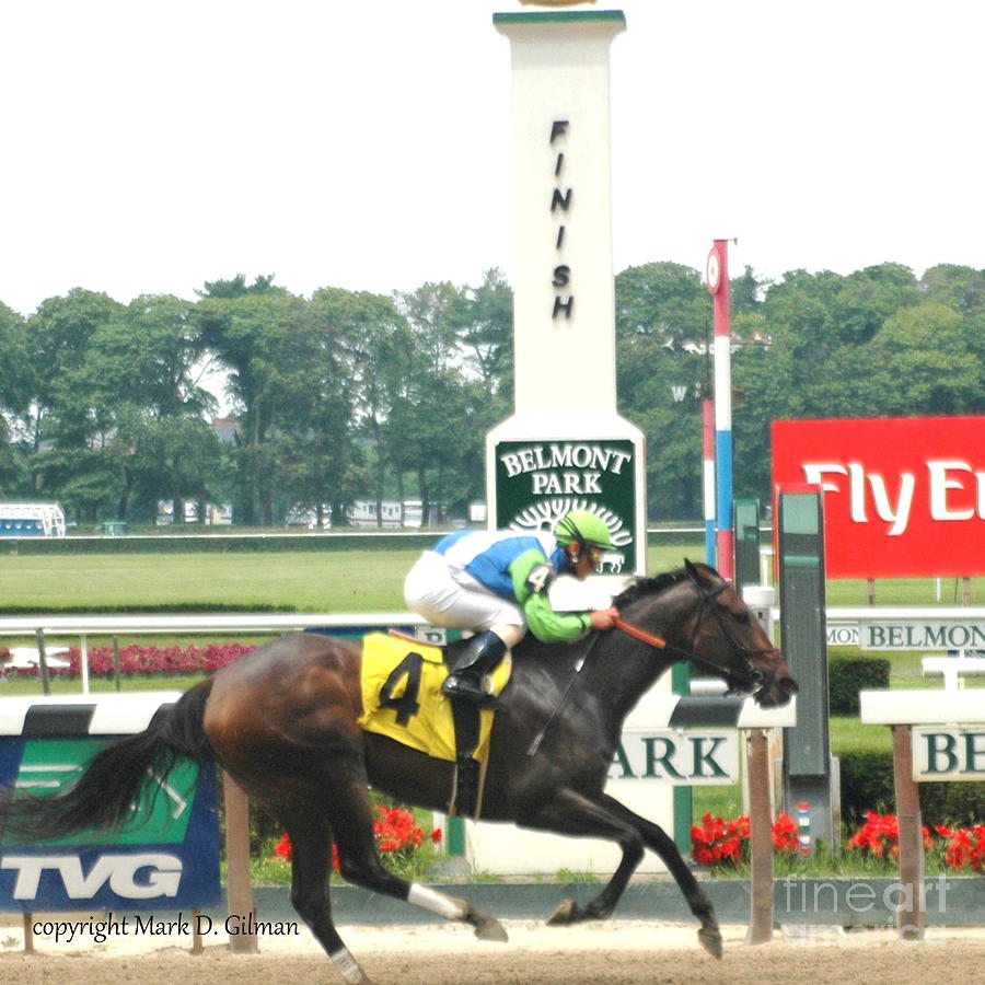 Belmont Finish Photograph by Mark Gilman Fine Art America