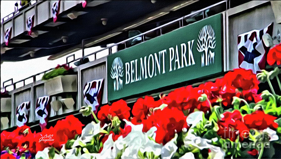 Belmont Park Carnations Digital Art by CAC Graphics
