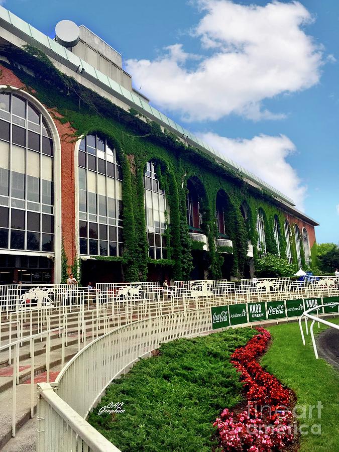 Belmont Park Ivy 1 Photograph by CAC Graphics