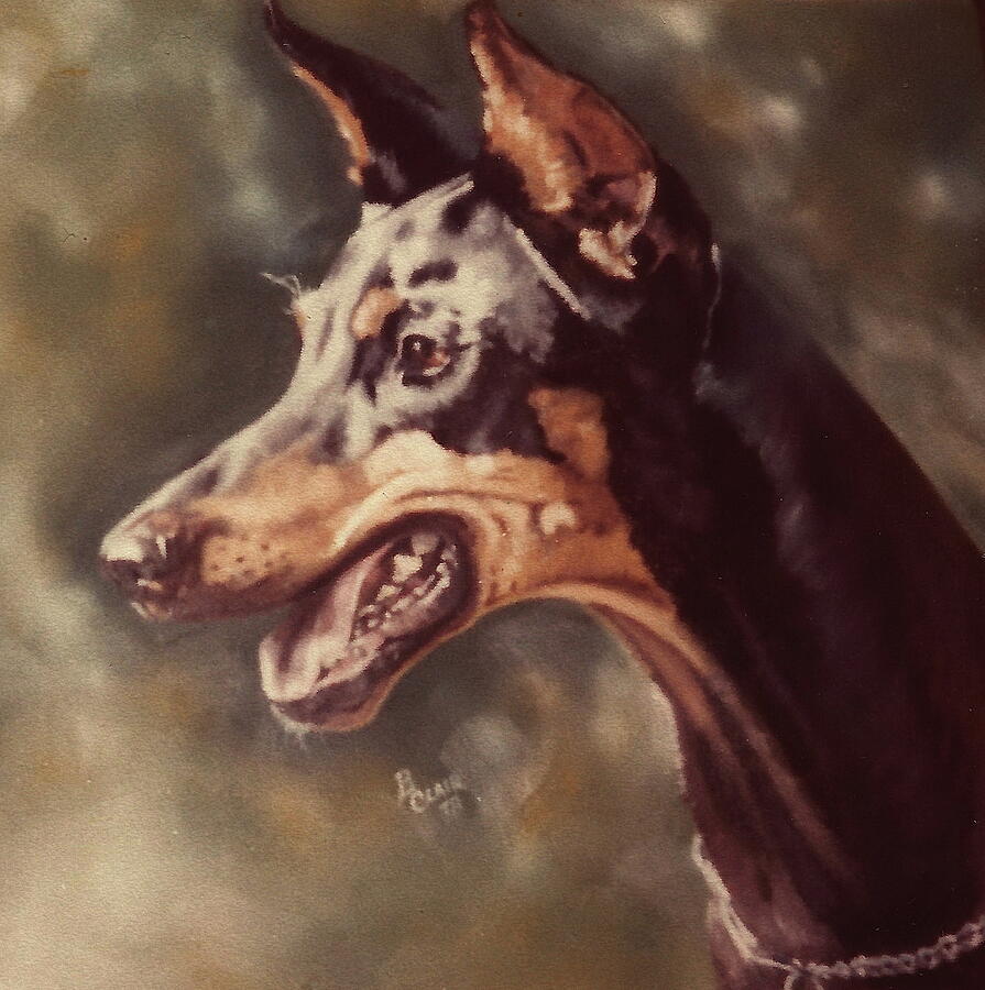 Dog Painting - Beloved Doberman by Barbara Keith
