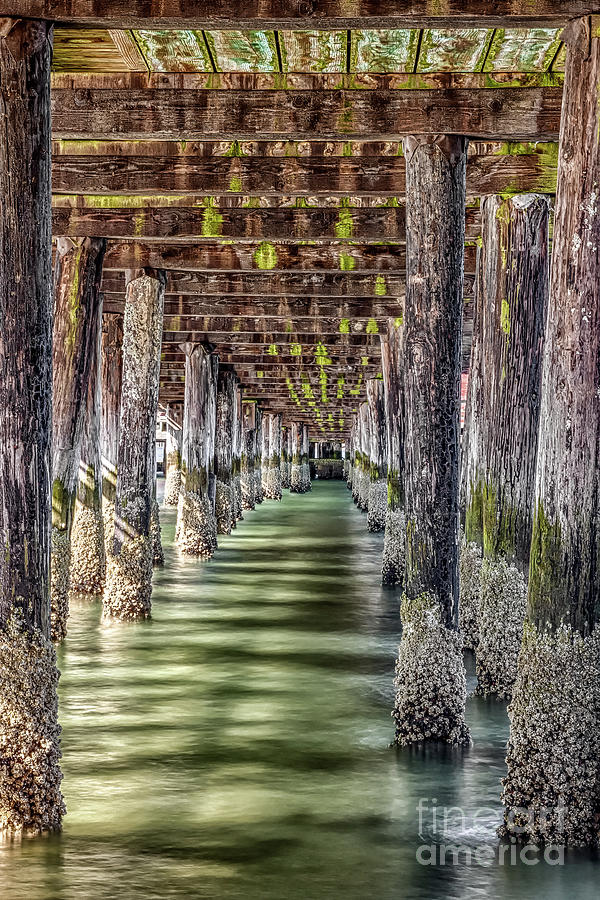Below a Wooden Pier Photograph by Bryan Mullennix