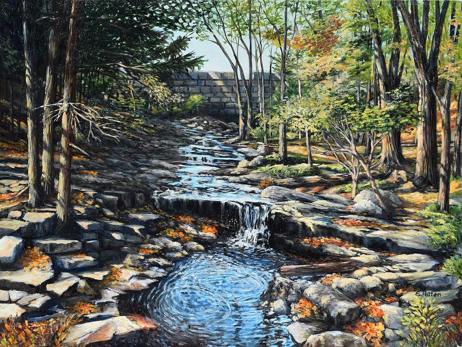 Vaughans Brook, Below The Dam Painting by Eileen Patten Oliver