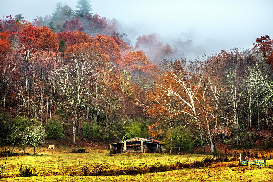 Below the Misty Mountains Photograph by Debra and Dave Vanderlaan