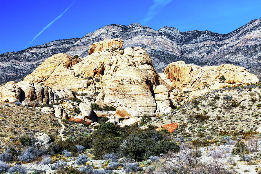 Below the Mountain at Red Rock Canyon Photograph by John Rizzuto