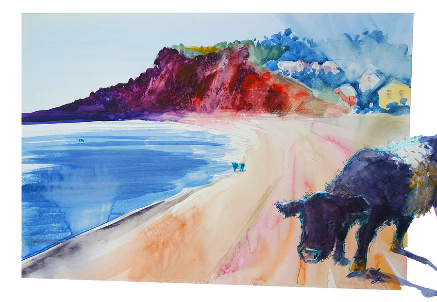 Belted galloway cow at Budleigh Salterton beach painting Painting by Mike Jory