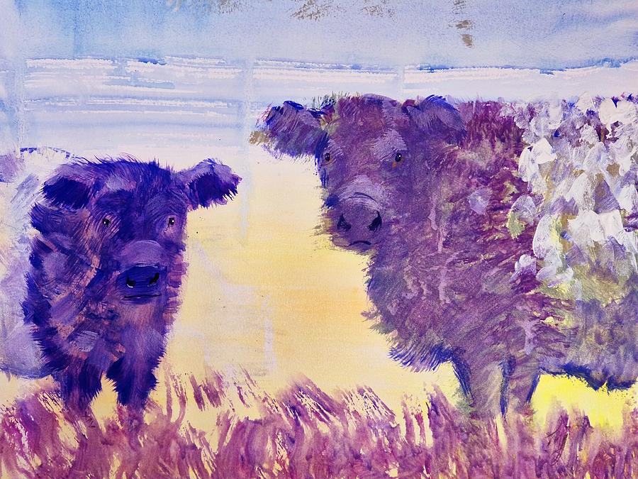 Belted Galloway Cows and sunset Painting by Mike Jory
