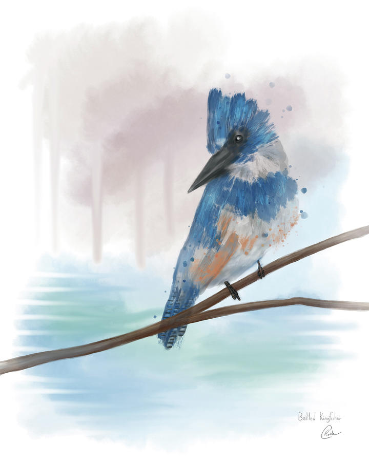 Kingfisher Digital Art - Belted Kingfisher by Chadrick Rode