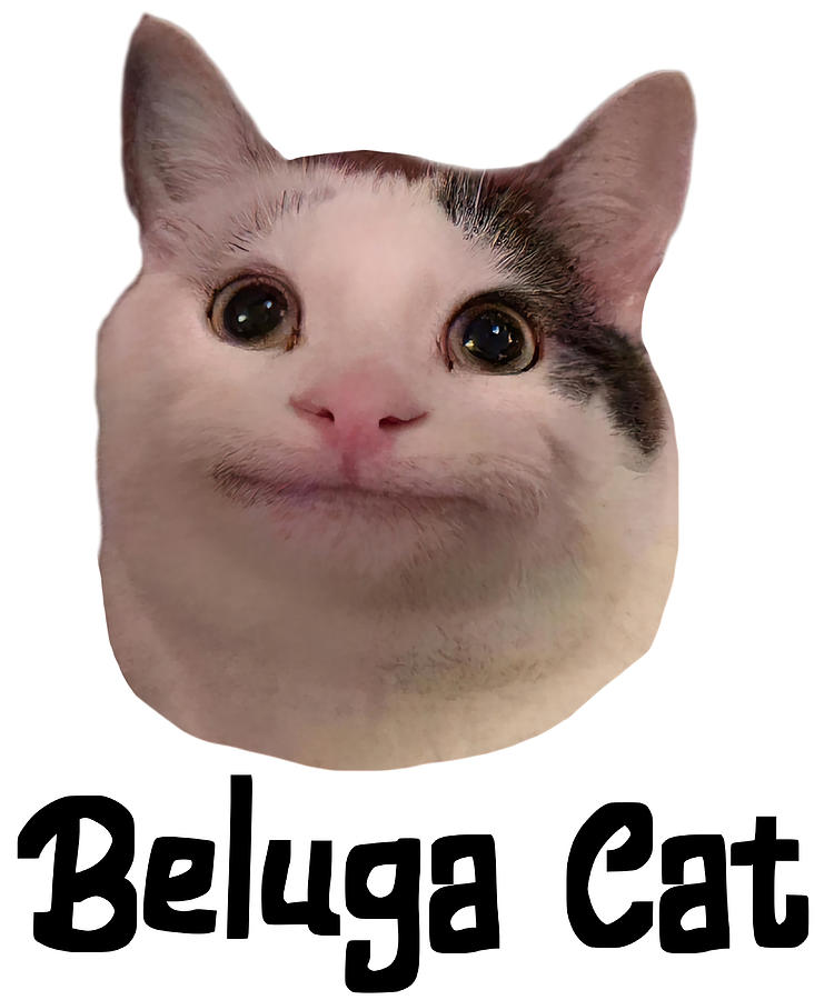 beluga cat discord pfp Poster girl Painting by Jake Danielle | Pixels