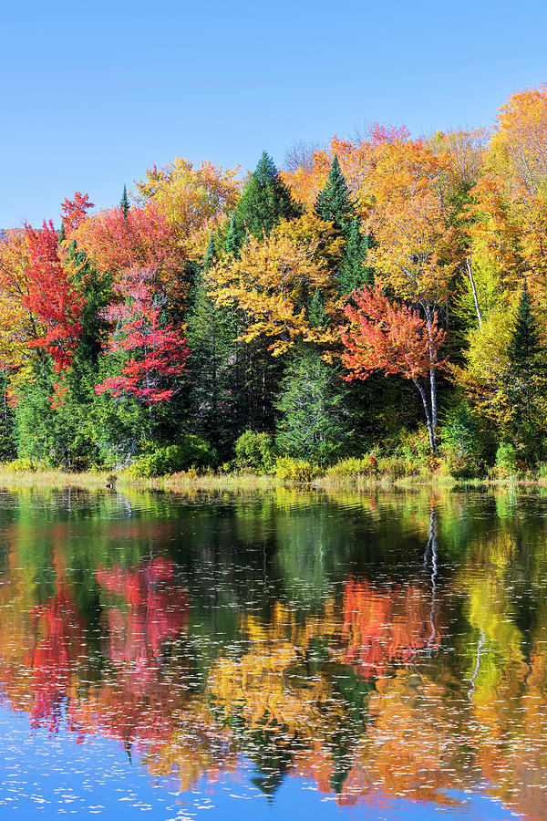 Belvidere Autumn Pond Color 2 Photograph by Alan L Graham