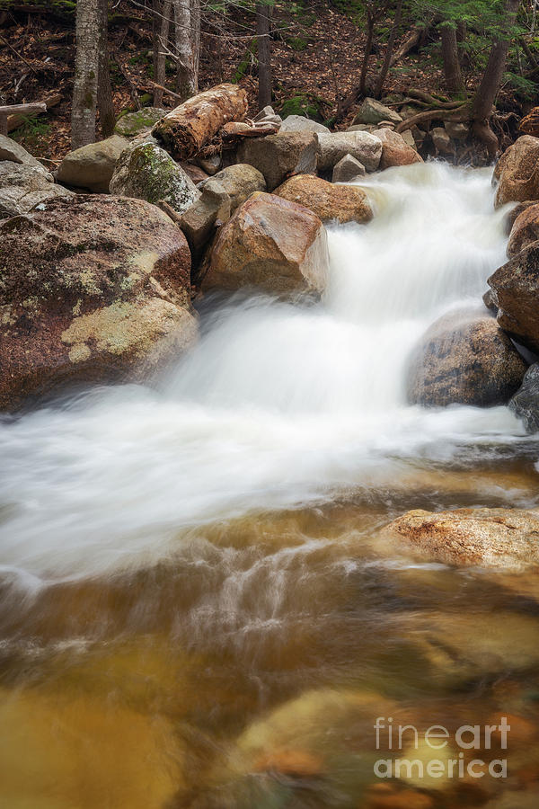 Bemis Brook by Sharon Seaward Bemis Brook by Sharon Seaward