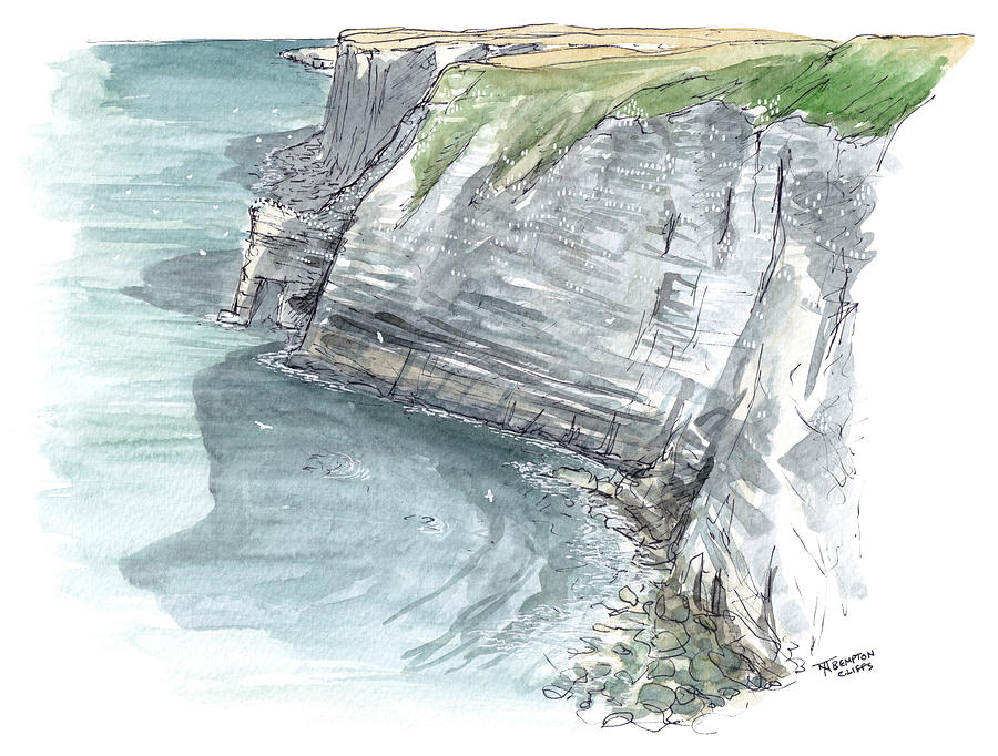 Bird Painting - Bempton Cliffs - Bird Colony by Tom Napper