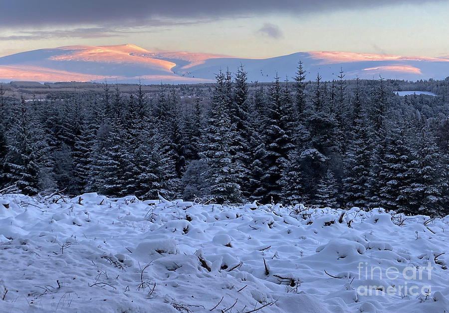 Ben Rinnes - tinted snow at sundown Photograph by Phil Banks