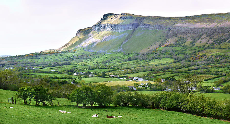Benbulbin - County Sligo Ireland Photograph by Lexa Harpell