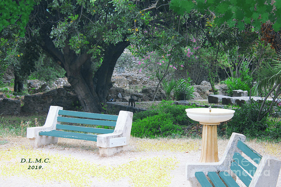 Bench and Park Greece Photograph by Donna L Munro
