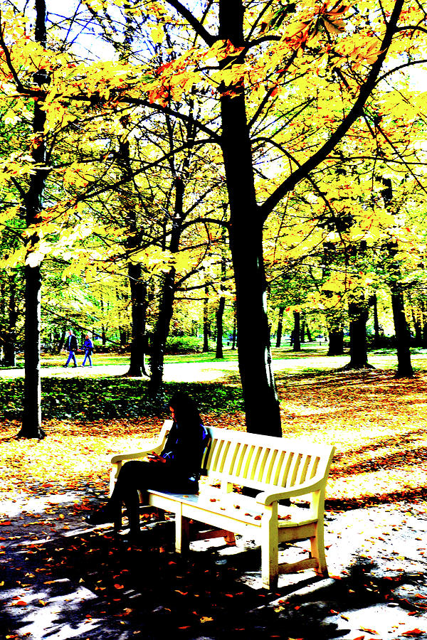 Bench And Trees In Lazienki Park In Warsaw, Poland Photograph by John Siest