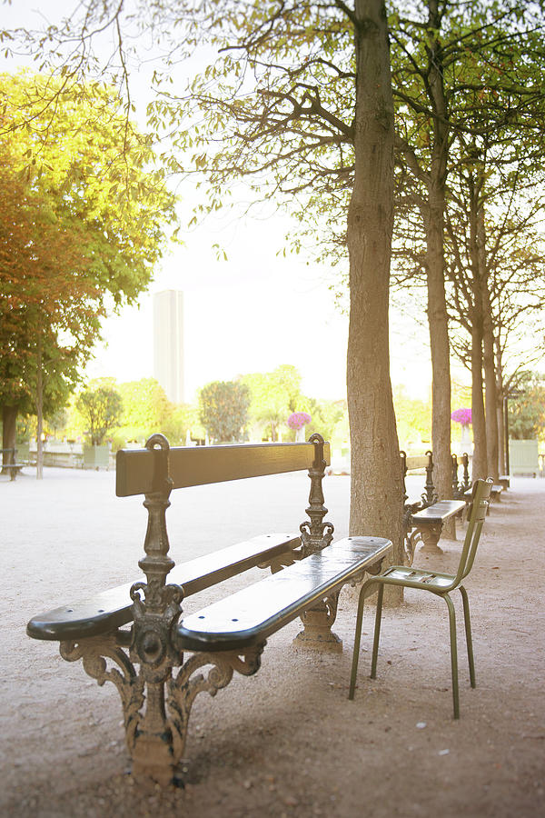 Bench at Jardin du Luxembourg Photograph by Ivy Ho