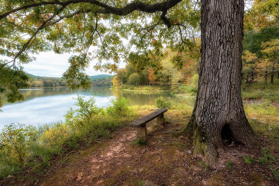 Bench at Shores Lake Photograph by James Barber