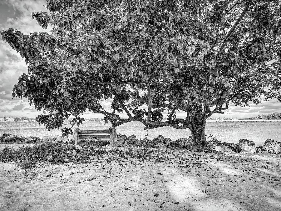 Bench at the Harbor Marina in Black and White Photograph by Debra and Dave Vanderlaan