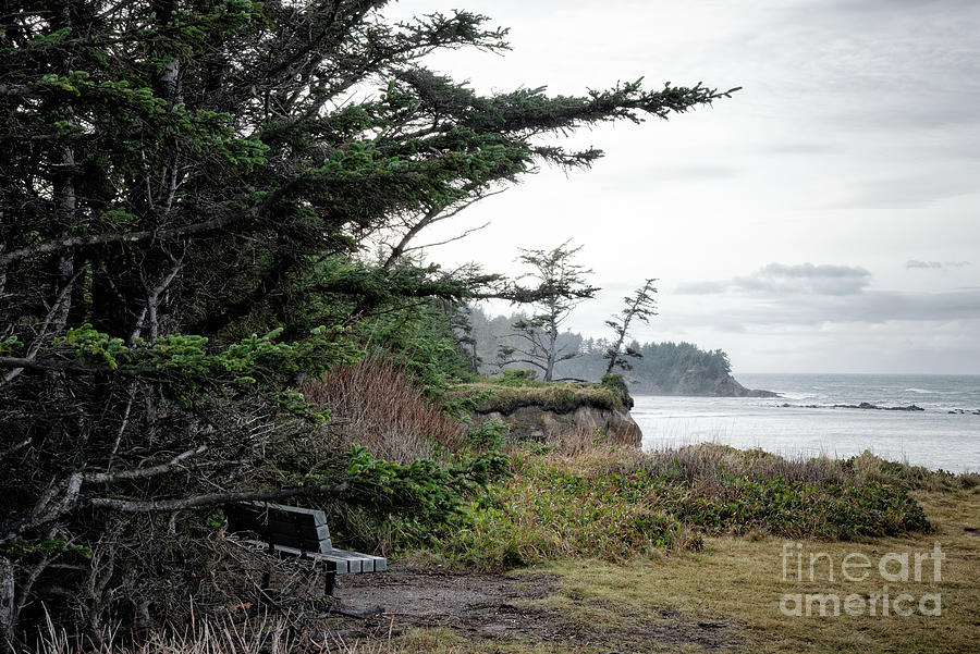 Bench By The Sea Photograph by Al Andersen