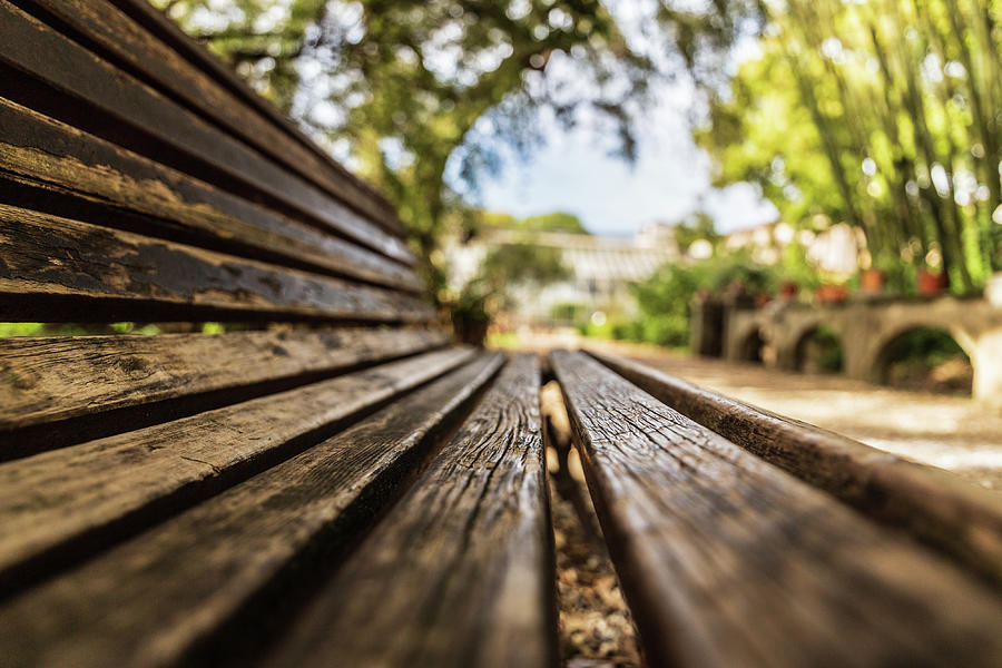 Bench Photograph by Fabiano Di Paolo