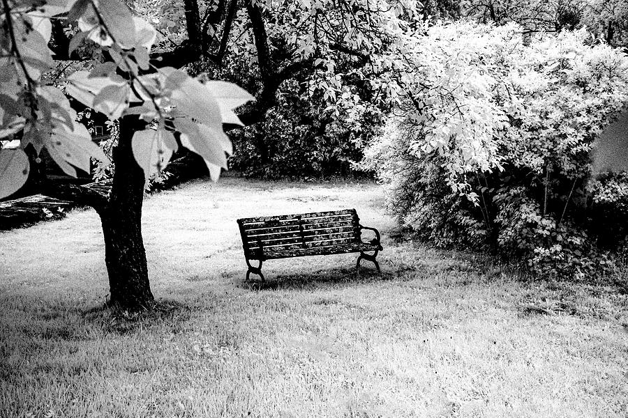 Bench In Black And White Photograph by Tom Singleton