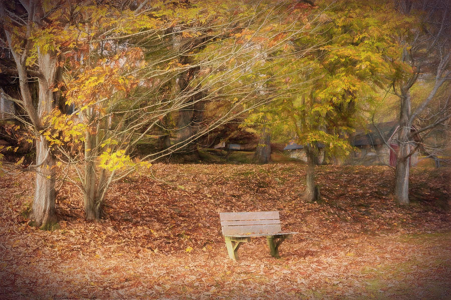 Bench in the Fallen Leaves Creeper Trail in Autumn Fall Colors D Photograph by Debra and Dave Vanderlaan