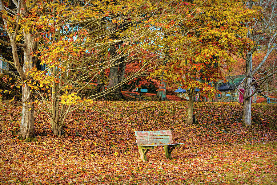 Bench In The Fallen Leaves Creeper Trail In Deep Autumn Fall Col 