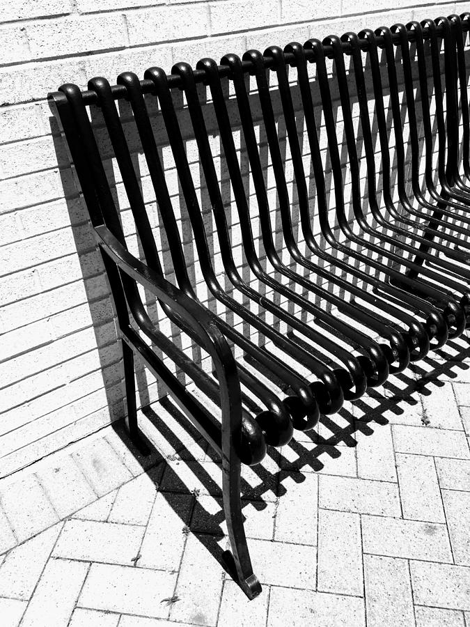 Bench Lines B W Photograph by David T Wilkinson