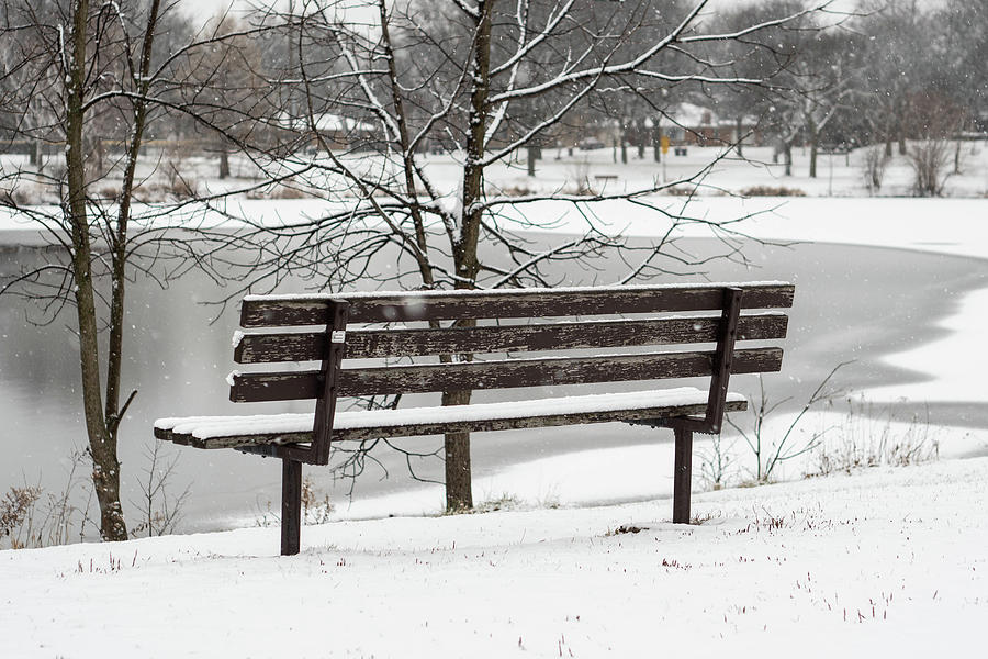 Bench of Winter Dreams Photograph by Kimberly Mackowski
